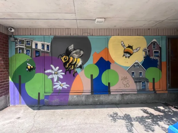 Mural at 415 Gilmour Street by Unknown / Inconnu