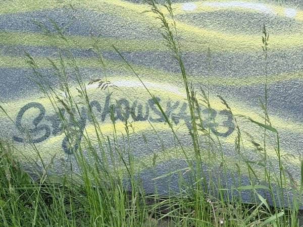 The nature of Deschenes by Marie-Rosa Szychowska - Street art mural in Deschênes, Ottawa, Ontario