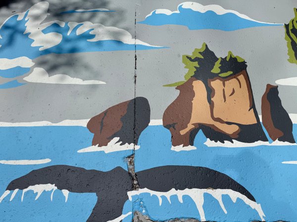A vibrant asphalt art installation along a downtown Ottawa pedestrian street, showing a series of painted ground murals designed to enhance public space and celebrate Canada’s 10 provinces and 3 territories.