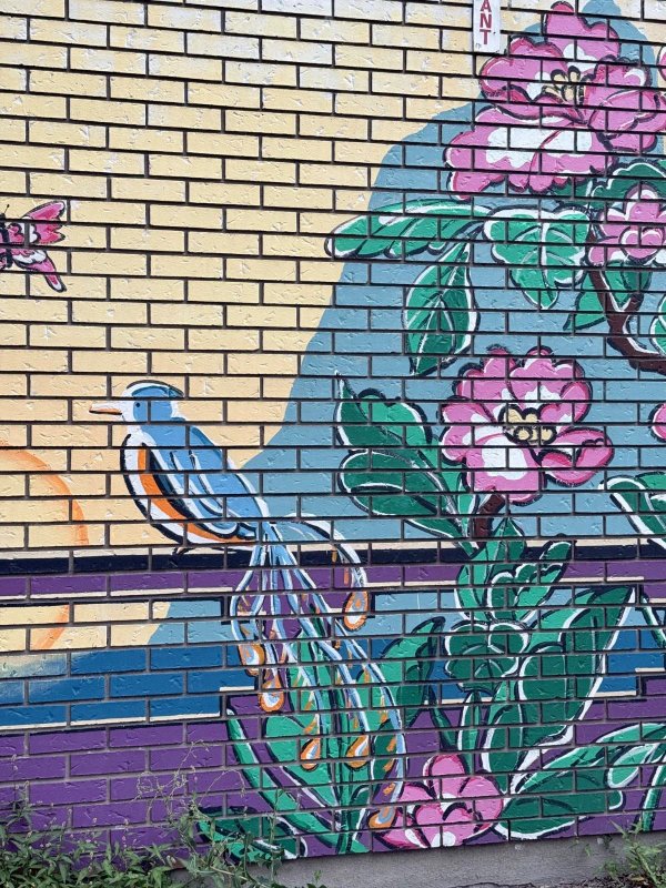 A colorful mural painted on brick shows a blue bird, pink flowers, and a butterfly, in Chinatown, Ottawa.