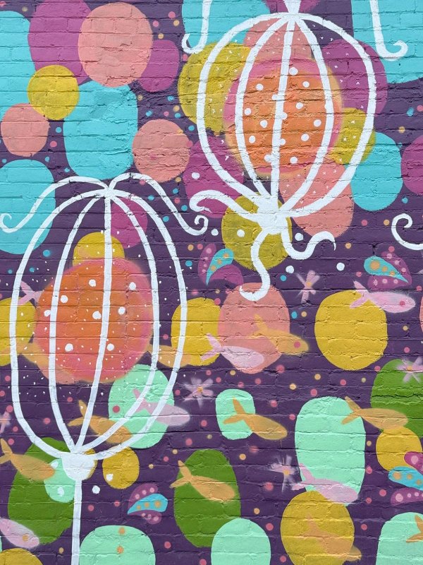 Street art mural in Centretown, Ottawa - Urban art photography