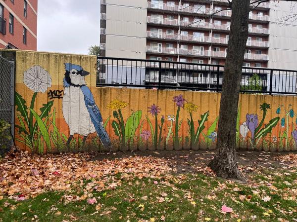 Mural Map Ottawa: Graphic mural of a large Blue Jay standing beside a fluffy dandelion seed head. Centretown Urban Art Index.