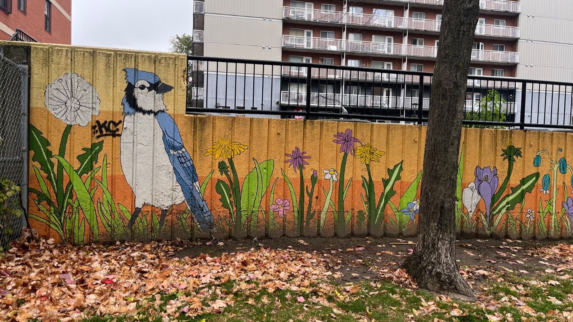 Mural Map Ottawa: Graphic mural of a large Blue Jay standing beside a fluffy dandelion seed head. Centretown Urban Art Index.