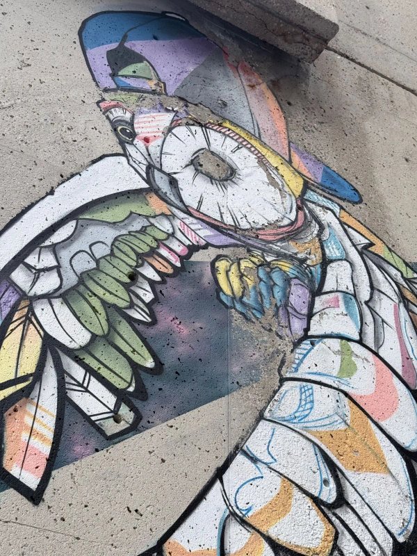 Animosités by Marie-Rosa Szychowska - Street art mural in Hull, Ottawa, Ontario