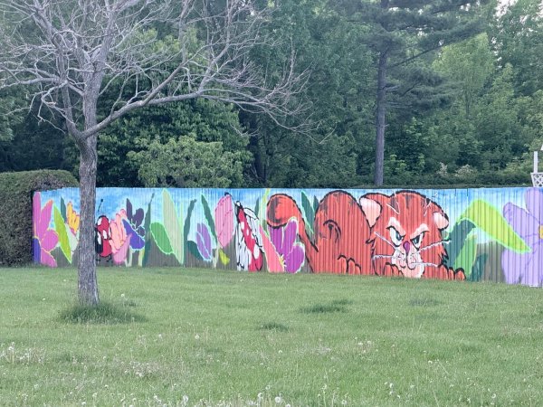 Mural artwork by TRP613 - Street art in Lincoln Heights, Ottawa, Ontario