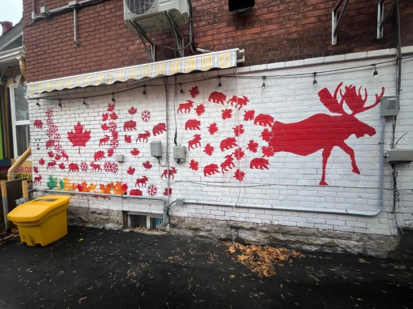 Untitled Submission by Unknown - Mural in Centretown, Ontario