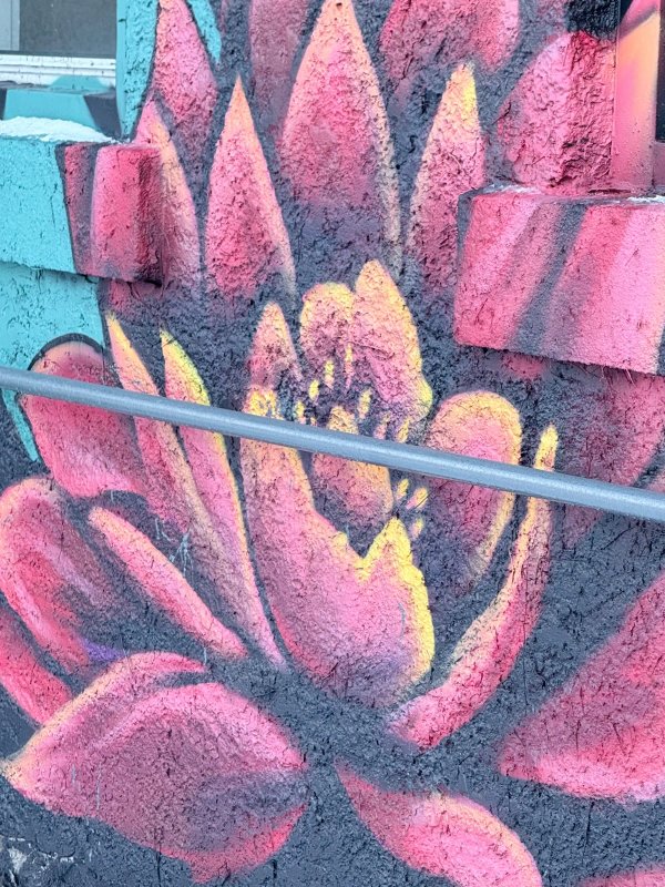 Untitled by Unknown - Mural in Chinatown, Ontario