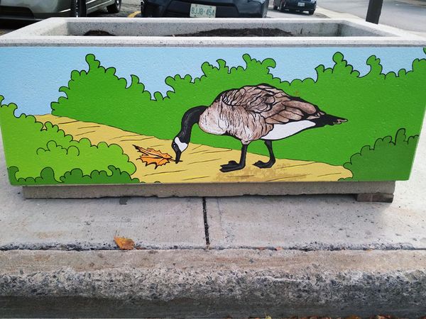 Decorative street planters by Maya Hum along Somerset Street West, Chinatown Ottawa