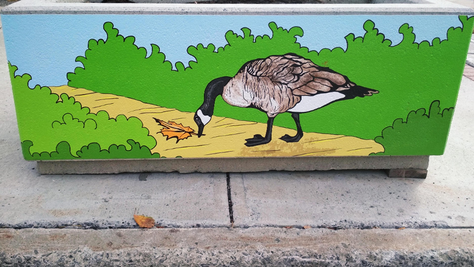 Decorative street planters by Maya Hum along Somerset Street West, Chinatown Ottawa