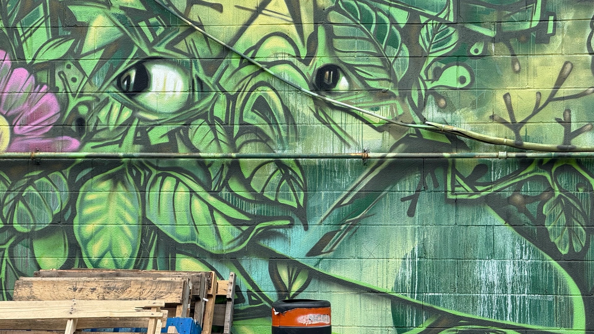 Planète Botanix mural in Centretown by Dom Laporte