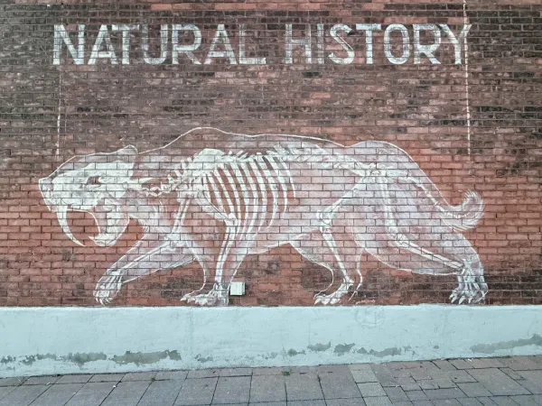 Histoire naturelle by Pascale Arpin