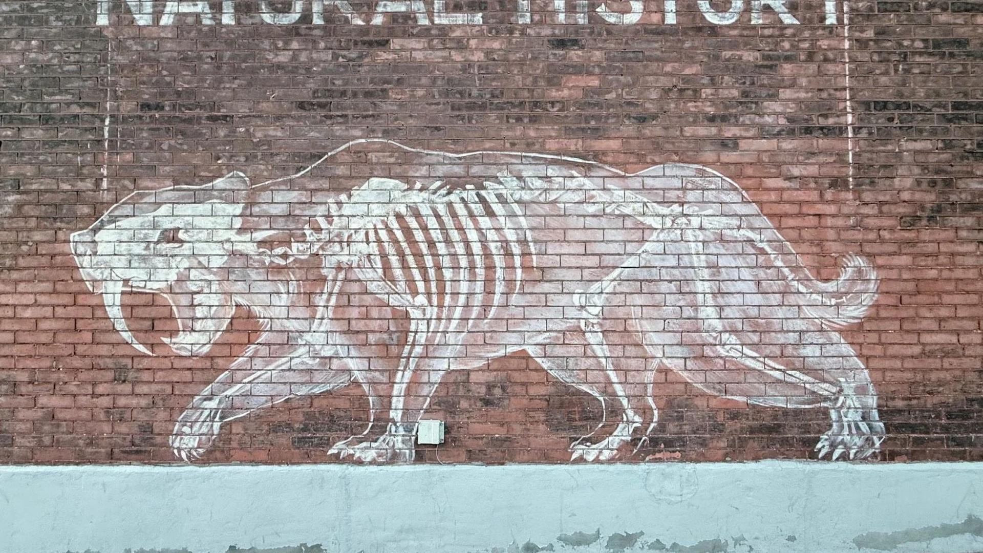 Natural History by Pascale Arpin - Street art mural in Centretown West, Ottawa, Ontario