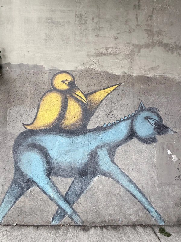 Street art mural in Centretown, Ottawa - Urban art photography