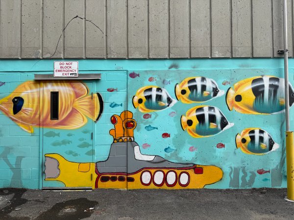 Daniel Martelock’s Yellow Submarine mural in Centretown Ottawa; a vibrant example of Illustrative Realism street art featuring yellow butterflyfish on a teal cinder block wall.
