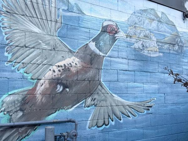 Untitled Submission by ARPi - Mural in Hintonburg, Ontario