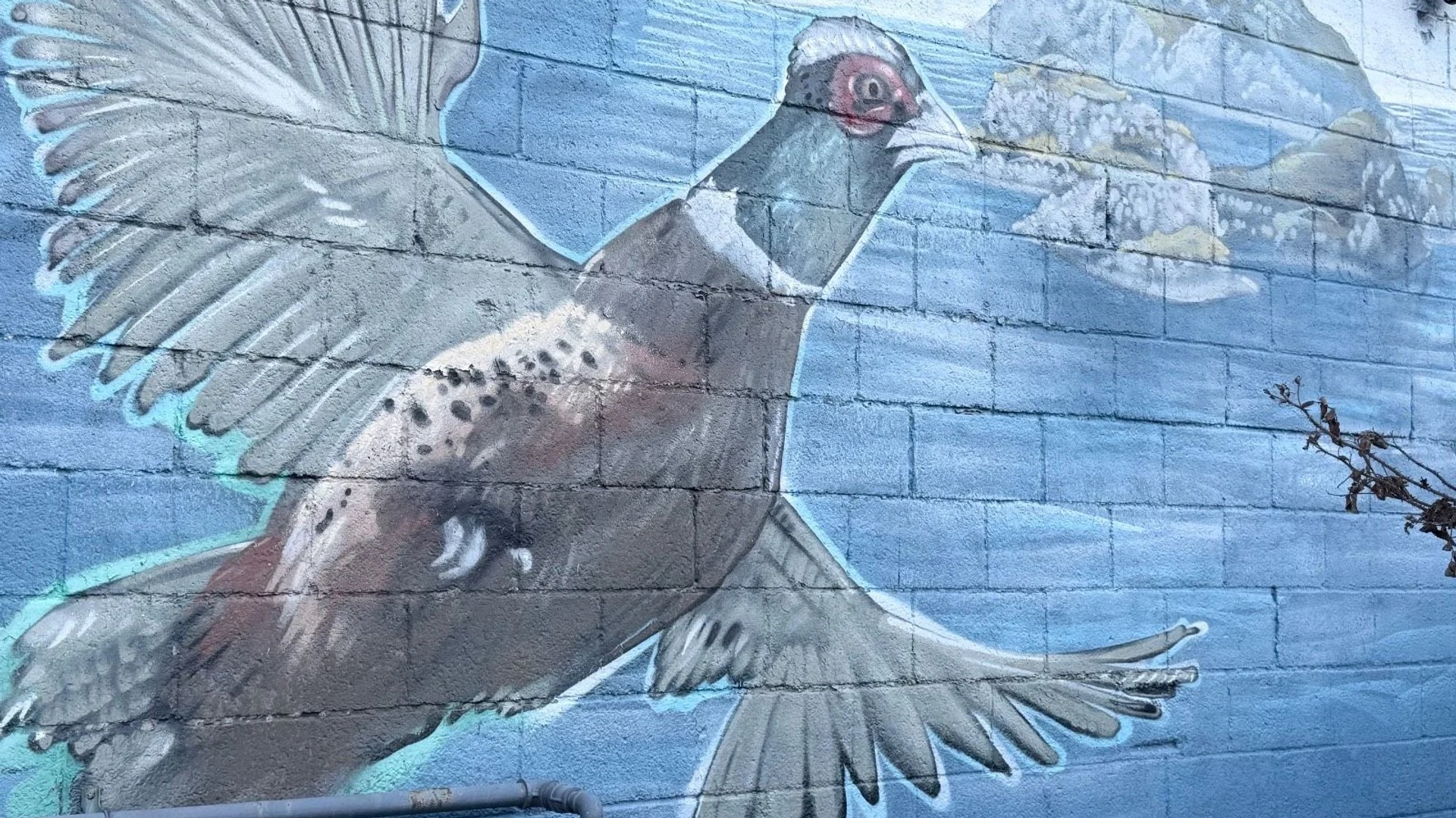 Untitled Submission by ARPi - Mural in Hintonburg, Ontario