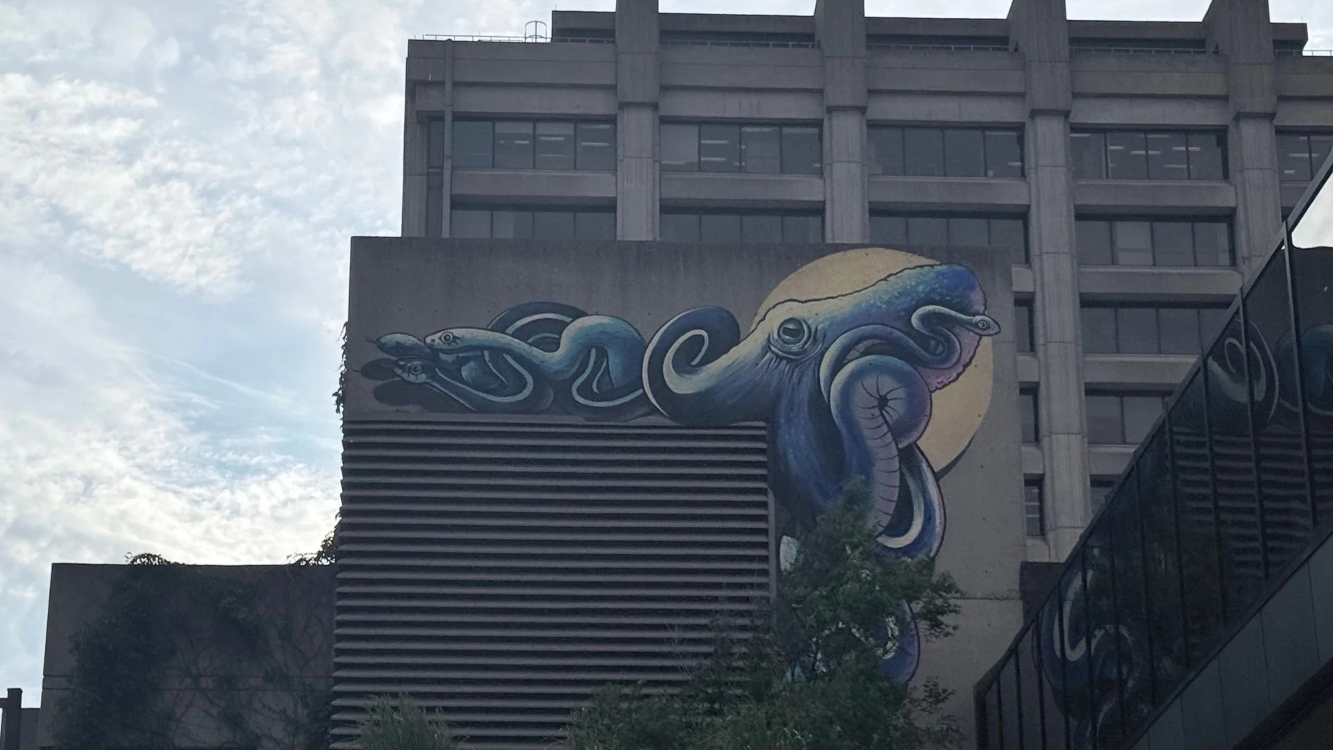 Mural artwork by Marin Mitrasinovic - Street art in Hull, Ottawa, Ontario