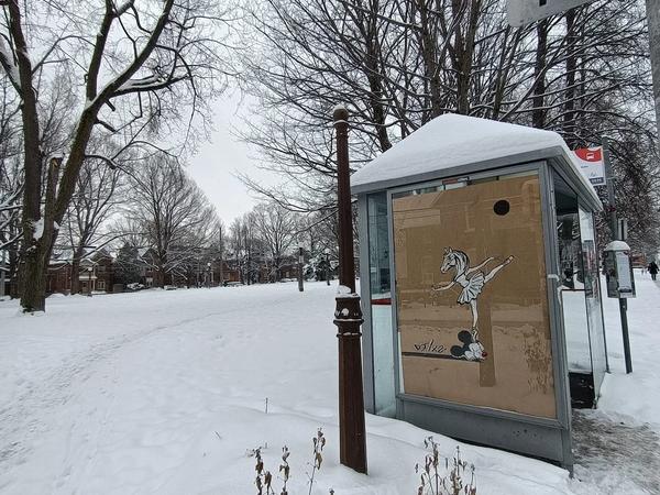 Untitled by Djix2  - Mural in Centretown, Ontario