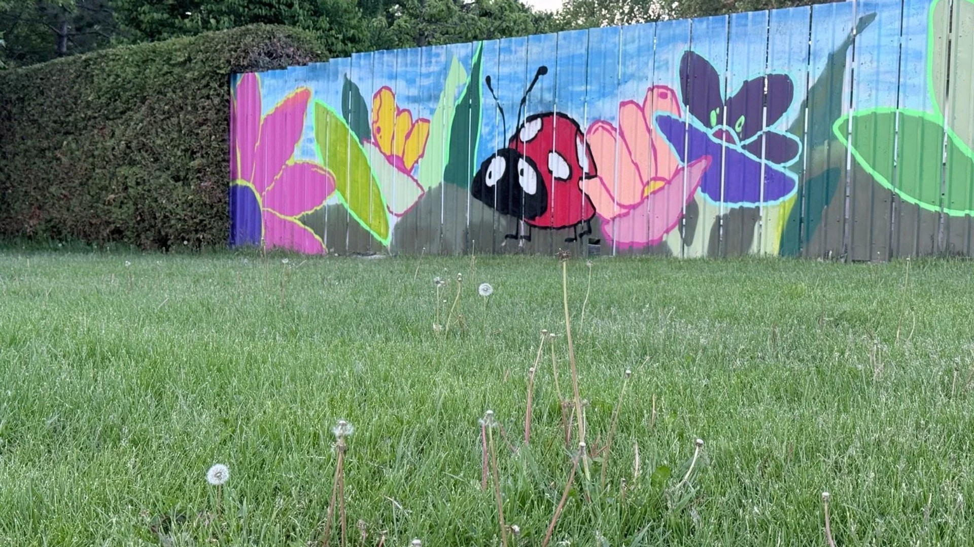 Mural artwork by TRP613 - Street art in Lincoln Heights, Ottawa, Ontario