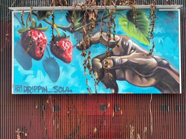 Untitled Submission by Drippin Soul - Mural in Hintonburg, Ontario