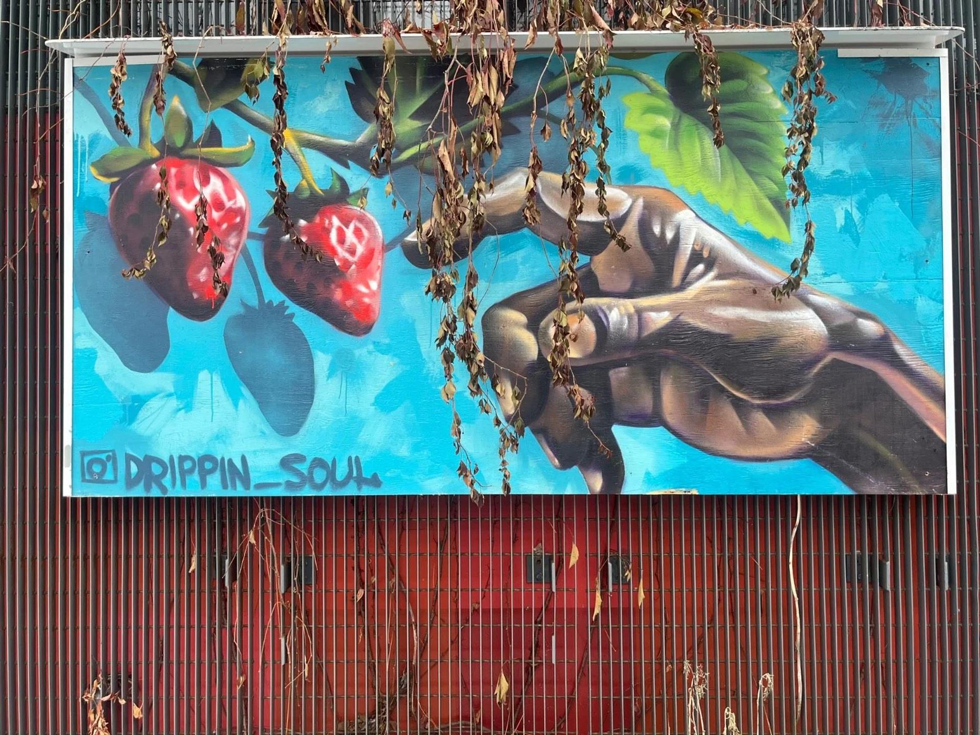 Untitled Submission by Drippin Soul - Mural in Hintonburg, Ontario