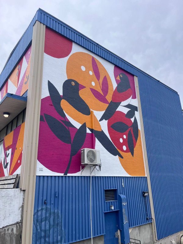 Mural artwork by Alex Davro - Street art in Hull, Ottawa, Ontario