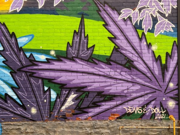 Inconnu street art mural photo 2