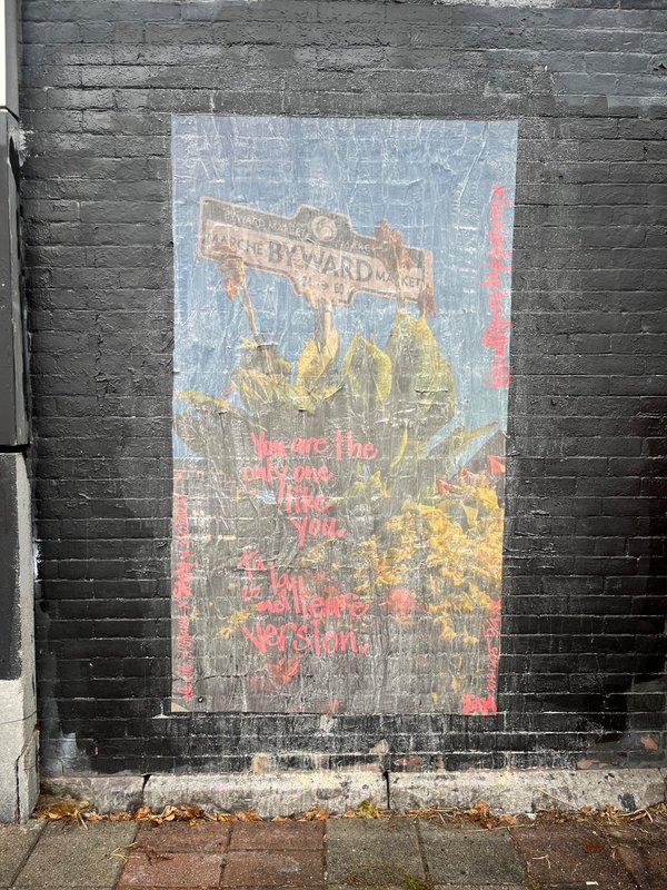 City of Ottawa commissioned street art showing a realistic wheatpaste near a ByWard Market road sign, posted November 2025.