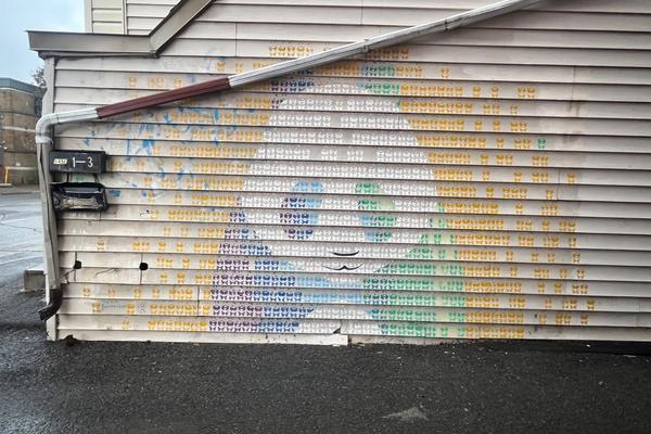 Anastasia Boguslavskaya