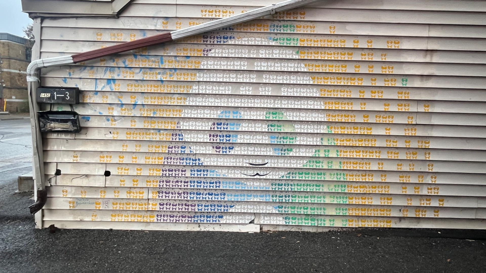 Panda mural in Chinatown, Ottawa Ontario by Anastasia Boguslavskaya