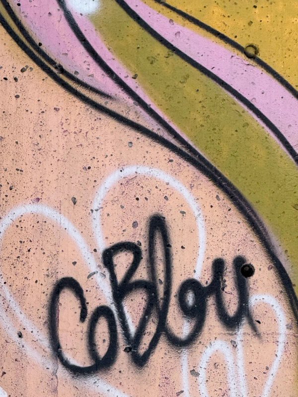 Mural artwork by Coblou - Street art in Byward Market, Ottawa, Ontario