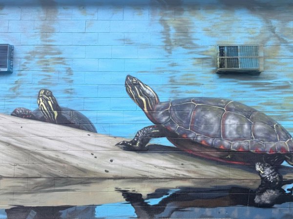 Street art mural in Hintonburg, Ottawa - Urban art photography