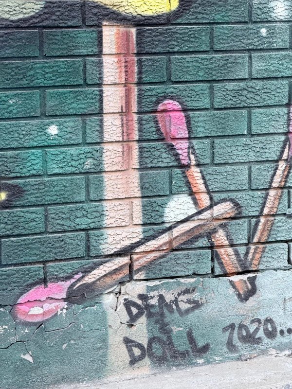 Mural artwork by Dems & Doll - Street art in Hull, Ottawa, Ontario