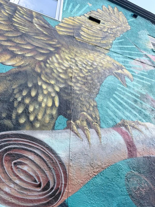 Mural artwork by Marin Mitrasinovic - Street art in Hull, Ottawa, Ontario