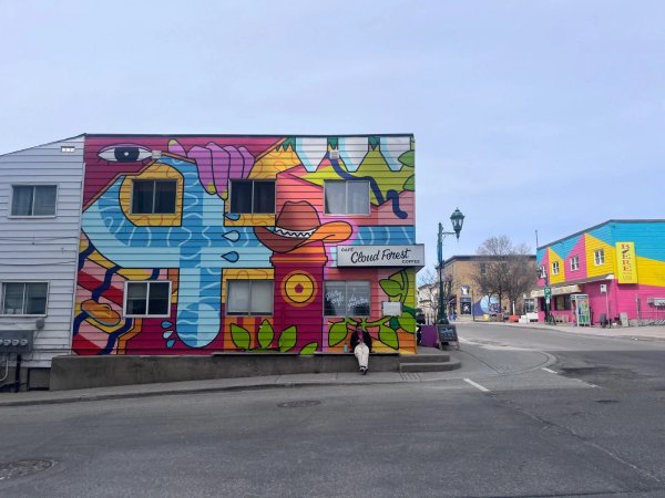 Mural artwork by Andree Godin - Street art in Hull, Ottawa, Ontario