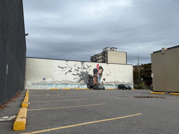 Freedom to Roam street art mural photo 2