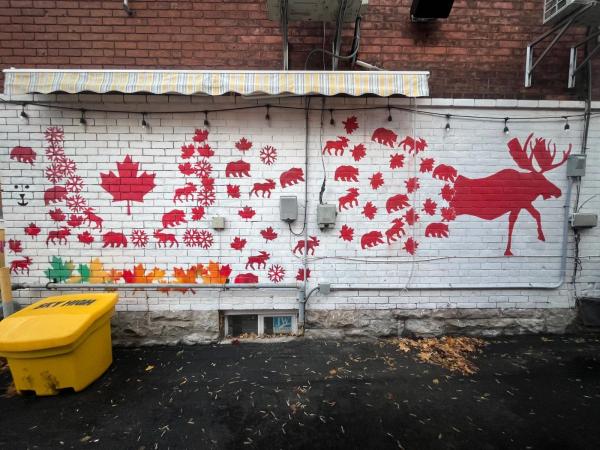 Untitled Submission by Unknown - Mural in Centretown, Ontario