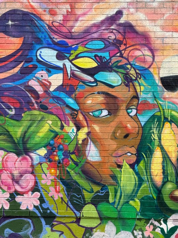 Community Mural - Byward Market street art mural photo 1