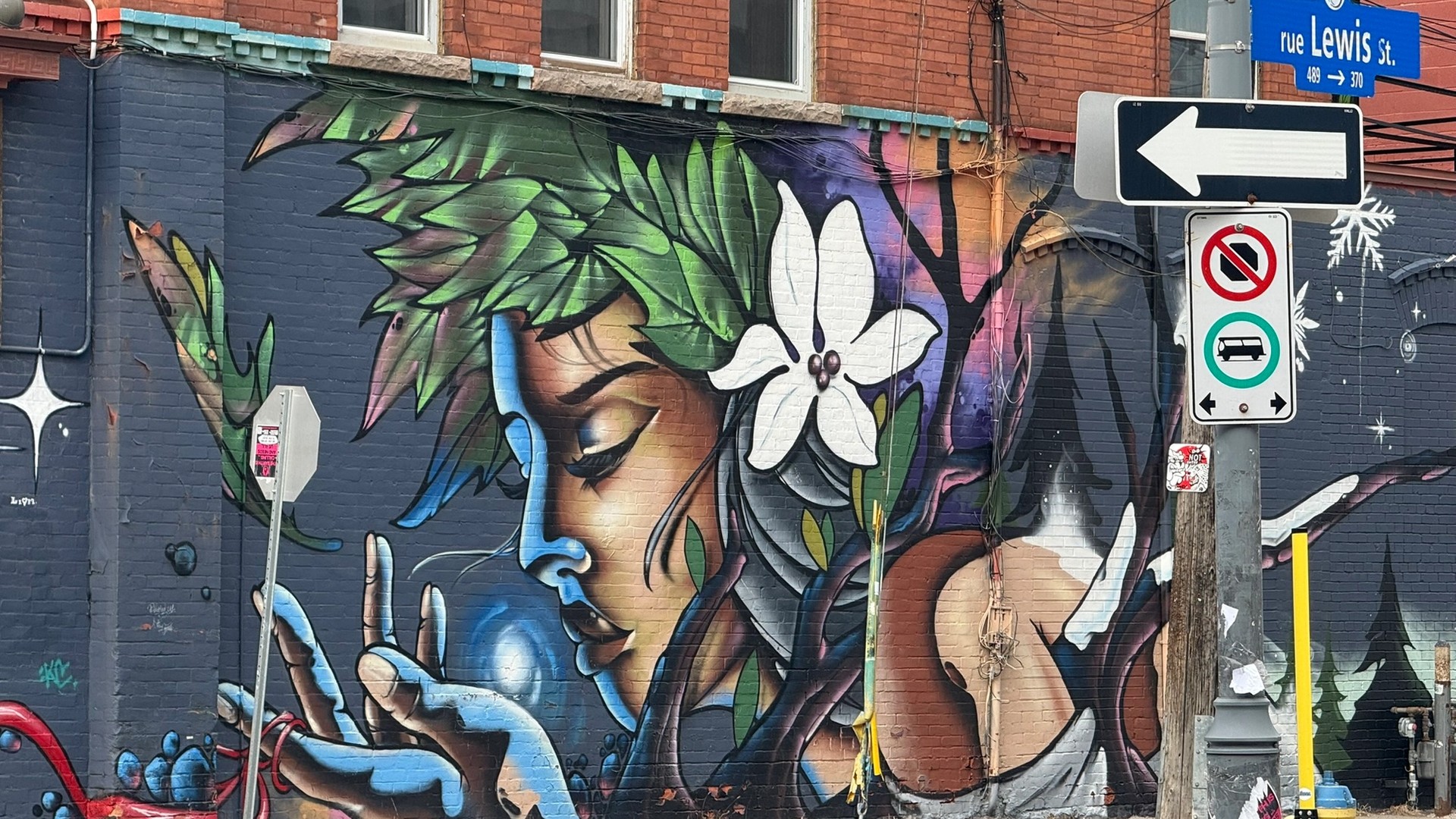 Mother Earth mural in Centretown by Dems & Doll
