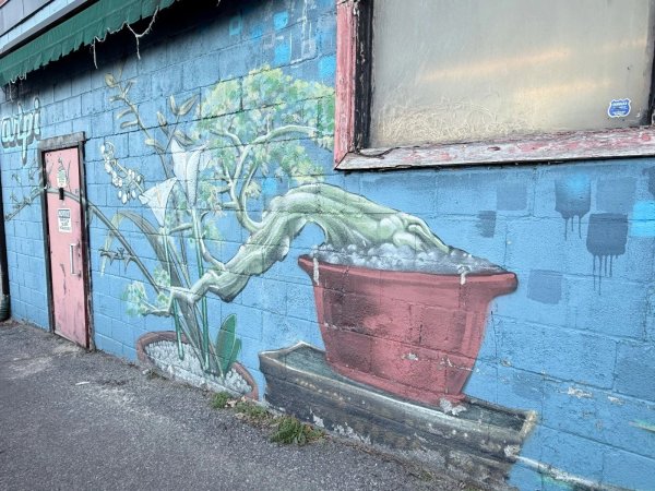 Untitled Submission by ARPi - Mural in Hintonburg, Ontario