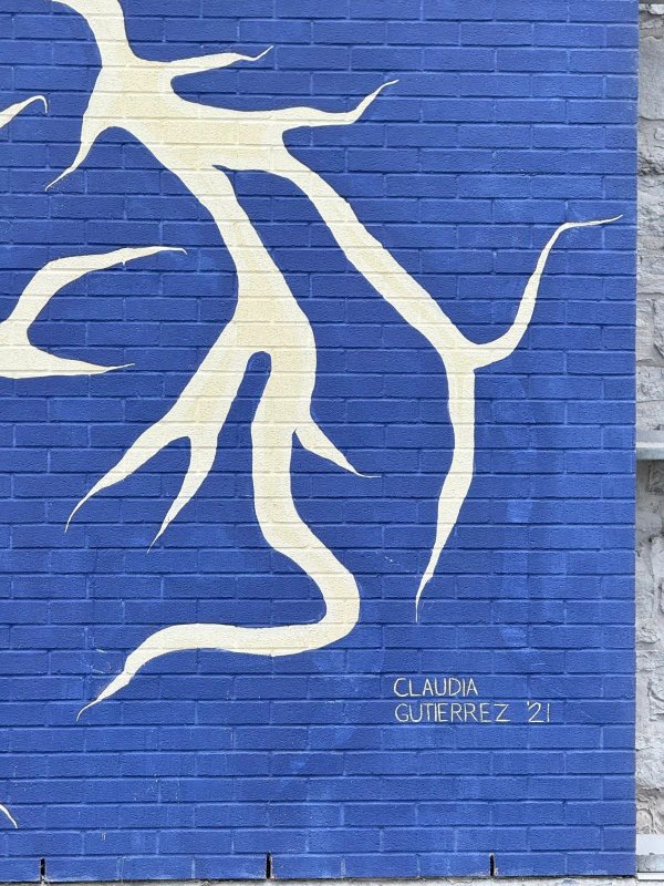 Minimalist urban art Gatineau, large scale mural depicting the proverb They Tried to Bury Us They Didn't Know We Were Seeds, red floral silhouette and dark hands.