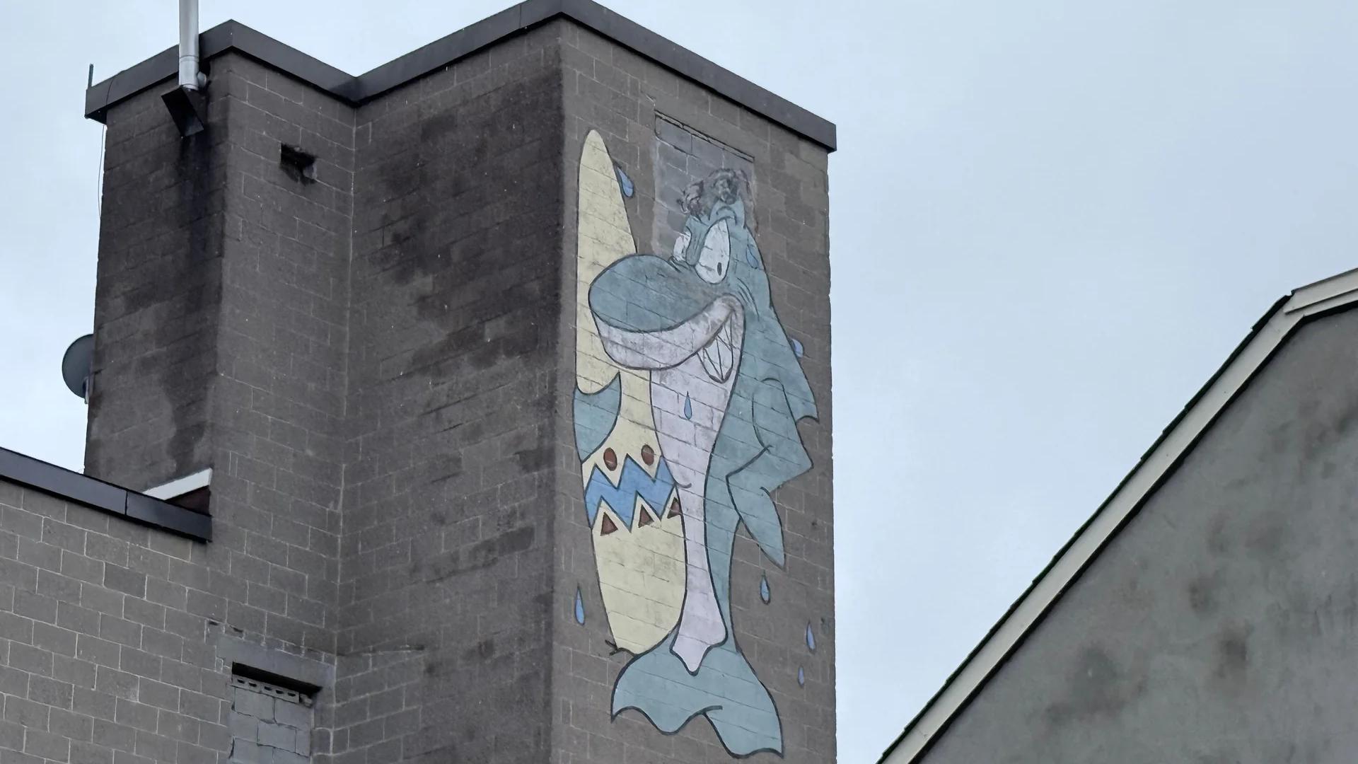 Urban street art in Byward Market, Ottawa - Mural photography