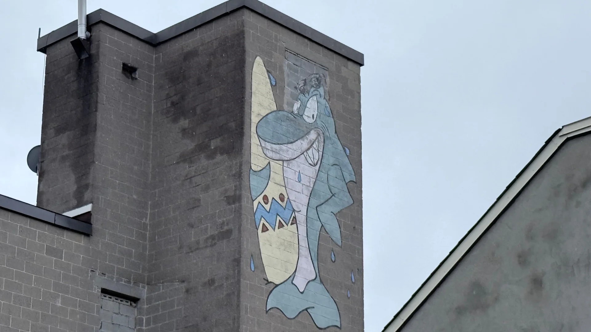 Urban street art in Byward Market, Ottawa - Mural photography