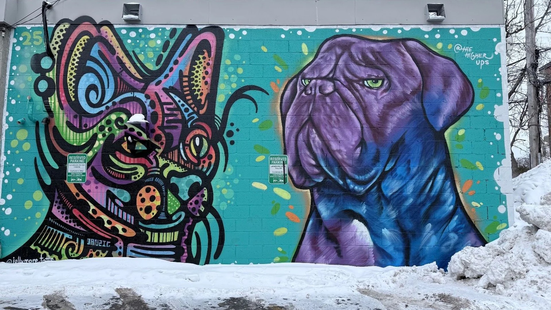 The Higher Ups mural Bank Street Ottawa. Street art photography of a cat and dog mural on a cinderblock wall. Ottawa mural map entry for Rideau Gardens neighborhood. Digital archive of ephemeral graffiti and public art in Ontario.