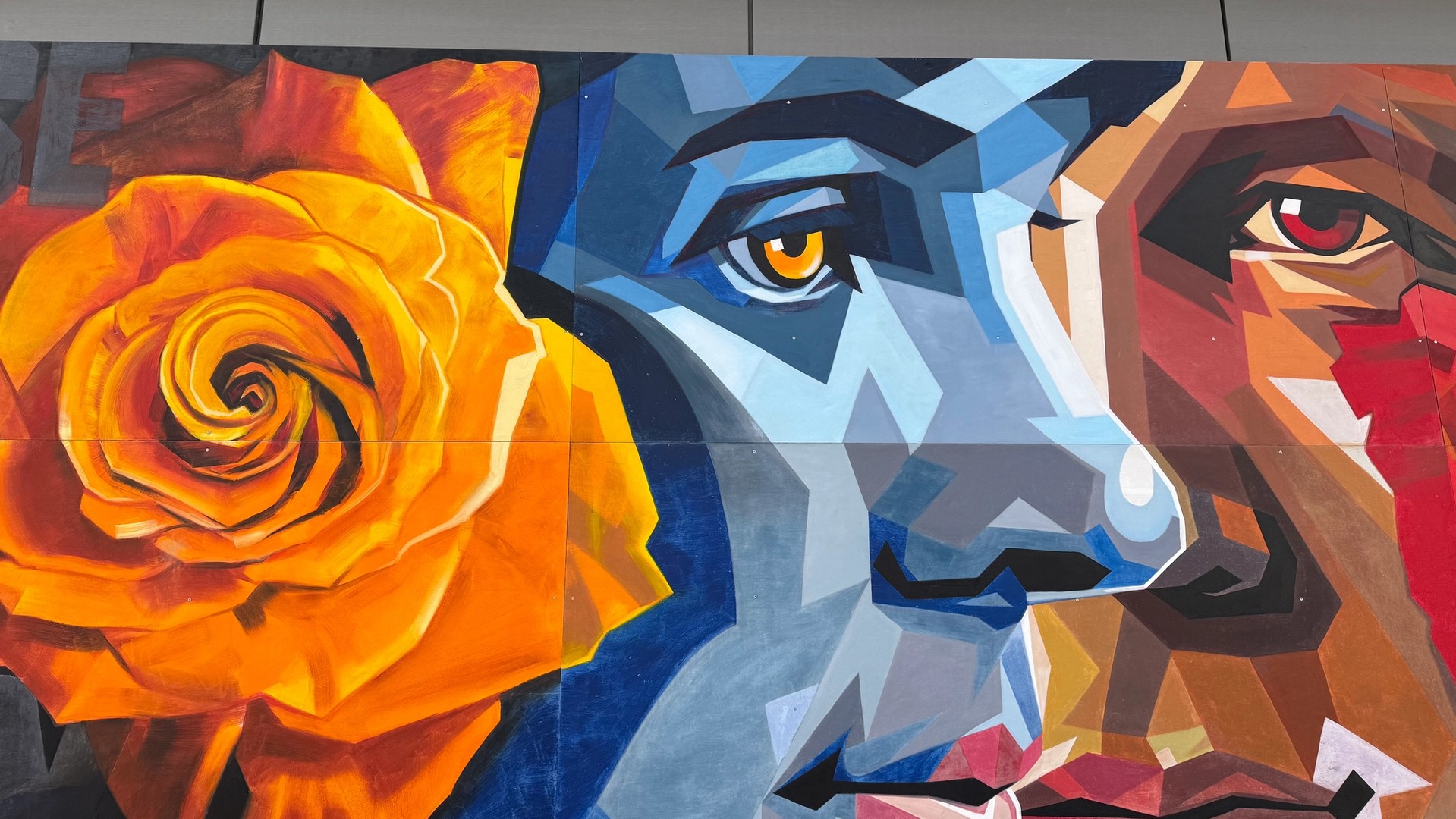 Fleurs de paix mural in The Glebe by Tom Cech