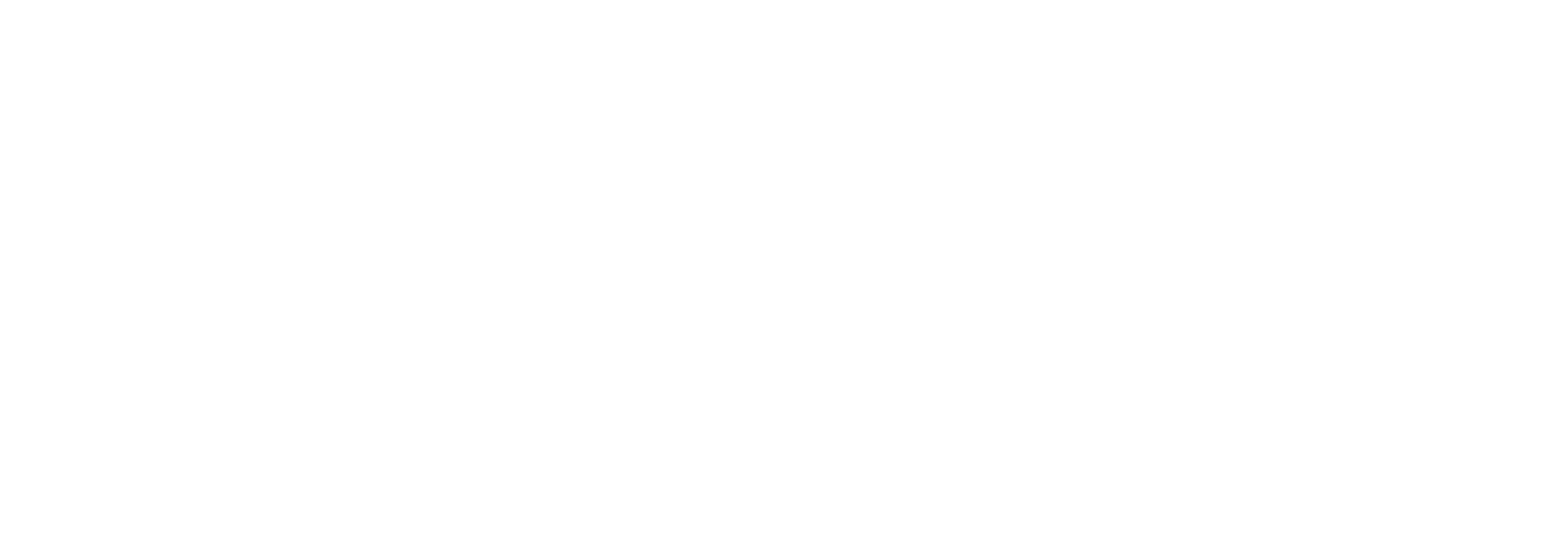 SPEDIFORT-Logo in Weiß