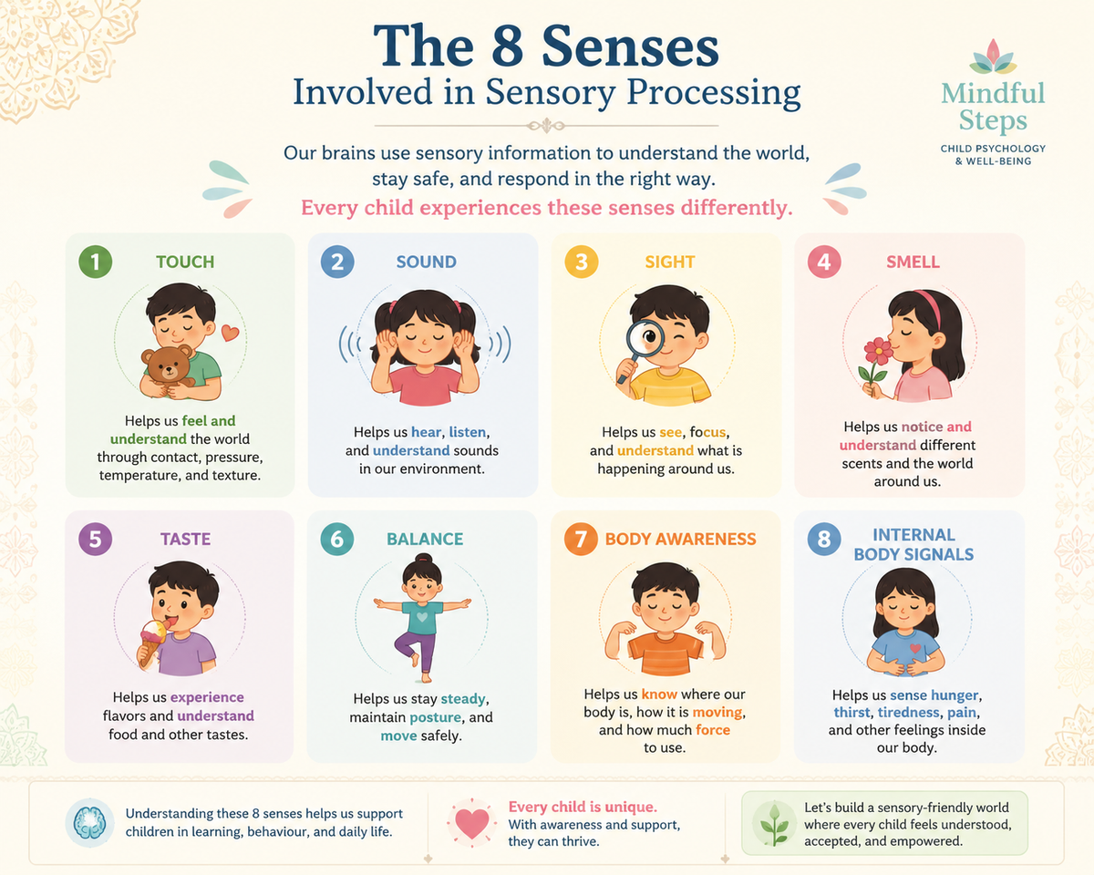 “Educational infographic explaining the eight senses involved in sensory processing”