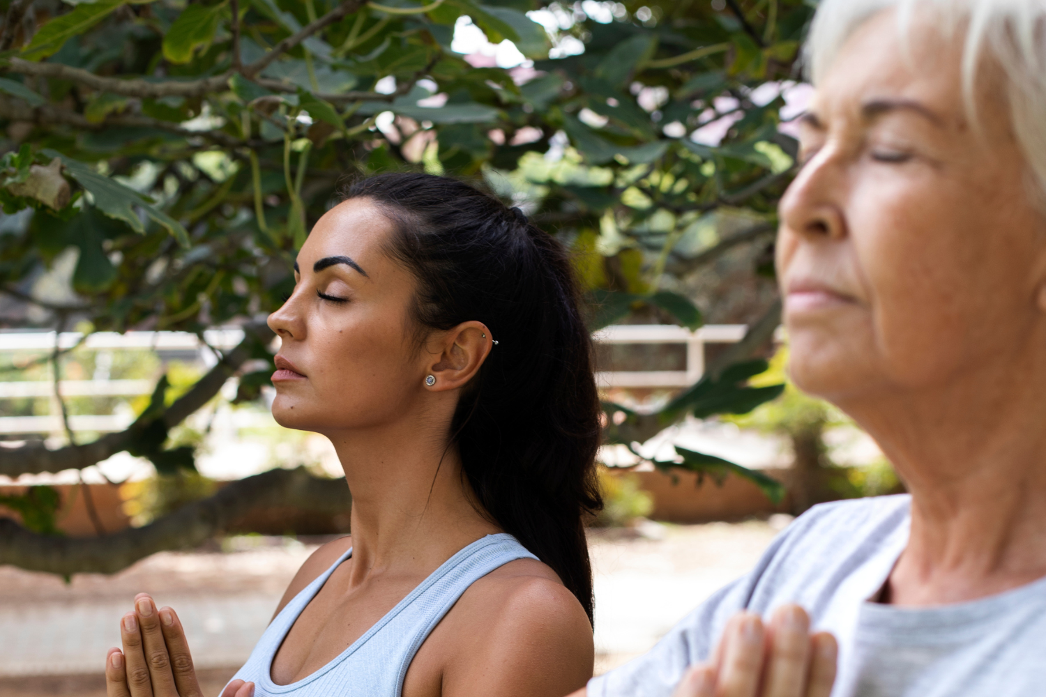 Why Tai Chi Is a Lifelong Practice: The Guide