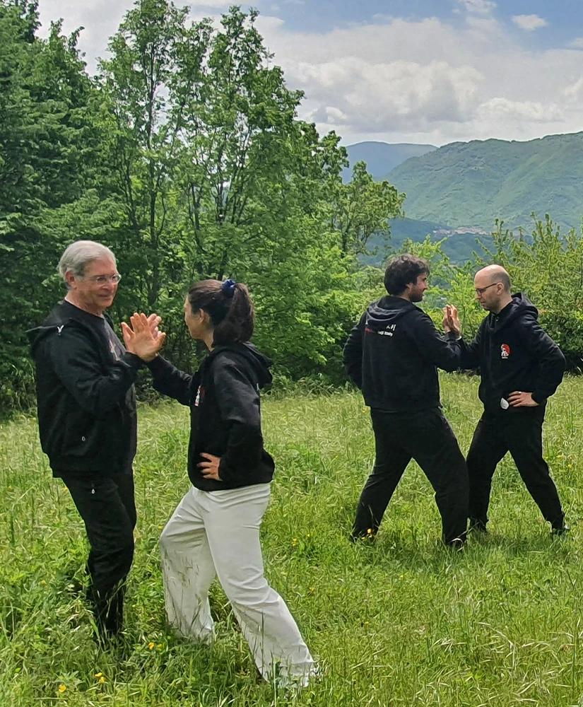 Due coppie praticano Tui Shou in un prato di montagna.