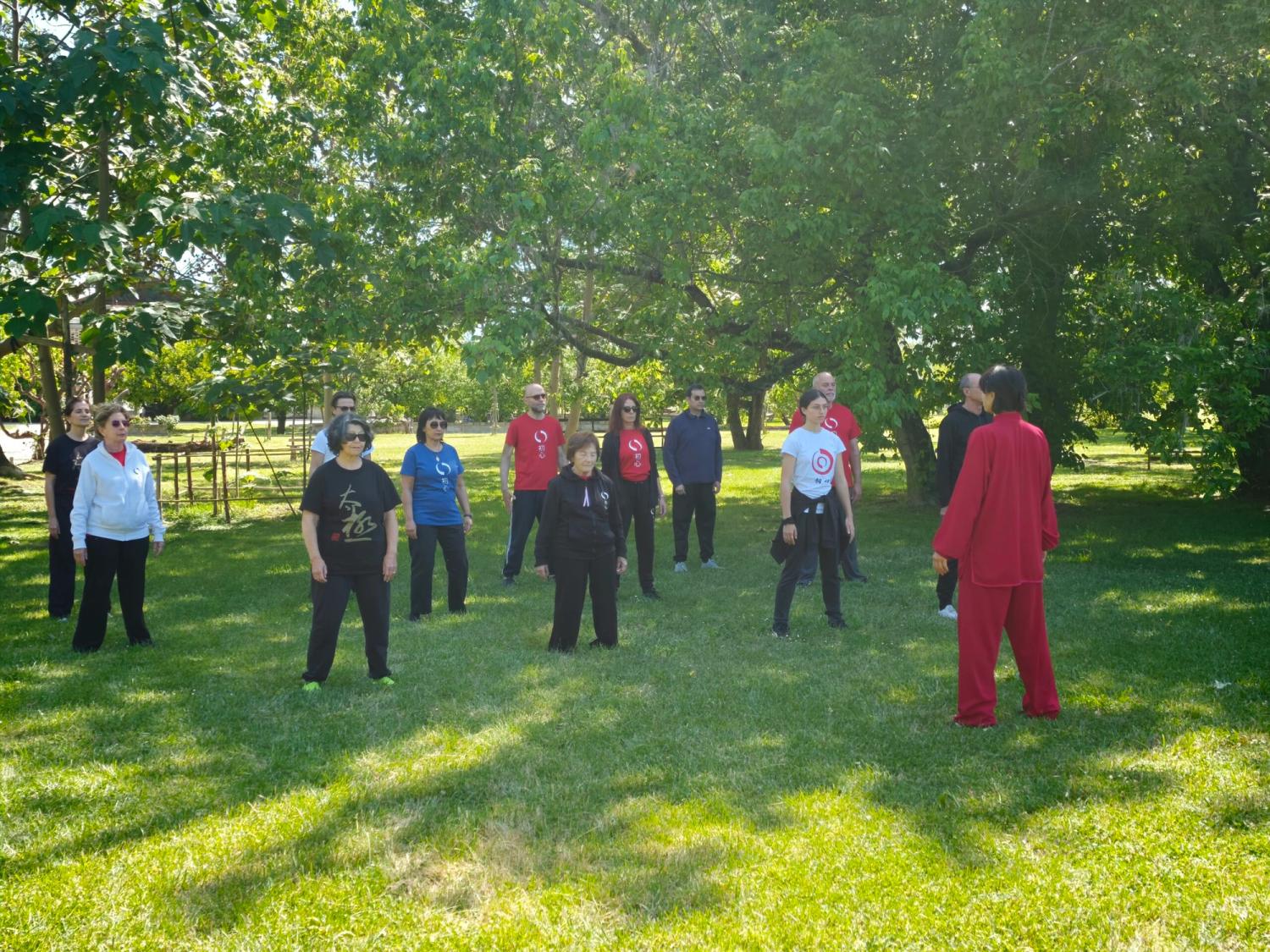 Qi Gong Dao Yin, Nei Gong Taoista e Meditazione